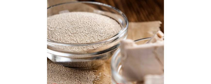 Types of Yeast and the Best Ones for Mash.