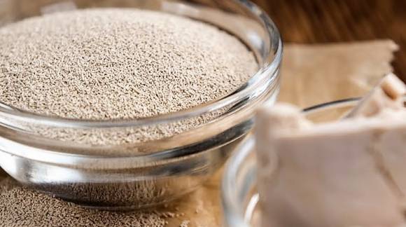 Types of Yeast and the Best Ones for Mash.